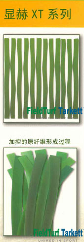 ���^�YԴ�W(w��ng)