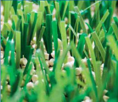 ���^�YԴ�W