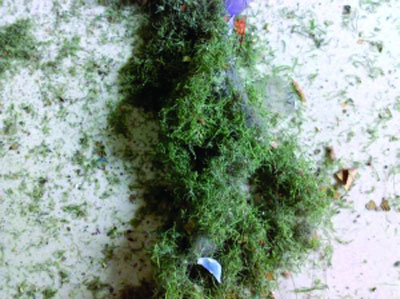 ���^�YԴ�W