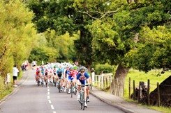 ���^�YԴ�W