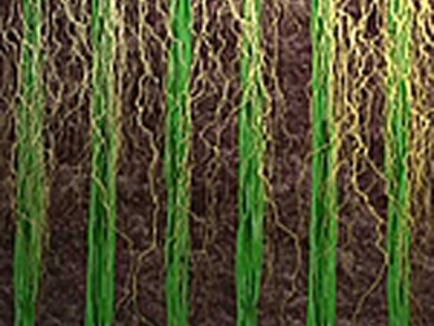 ���^�YԴ�W