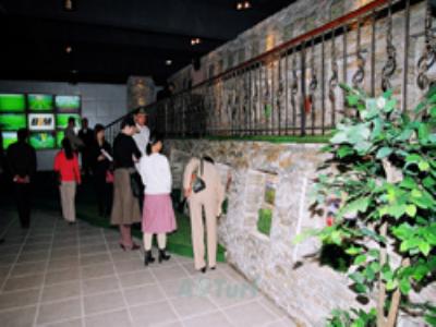 ���^�YԴ�W