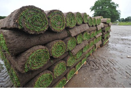 ���^�YԴ�W