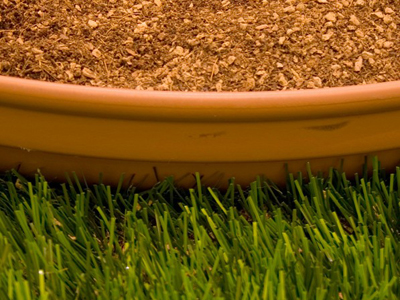 ���^�YԴ�W