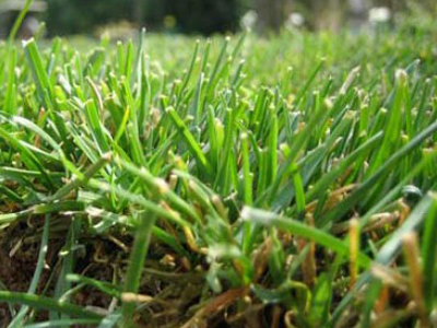 ���^�YԴ�W