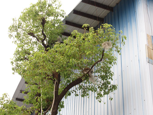 ���^�YԴ�W