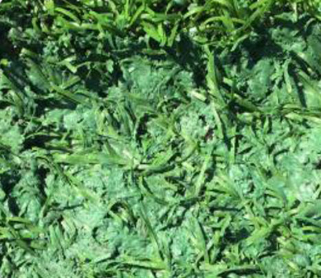 ��(ch��ng)�^�YԴ�W(w��ng)